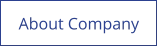 About Company